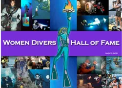 wdhof-image_.jpg.webp