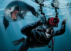 wil-leopard-seal-april.jpg.webp
