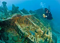 wreck-tips.jpg.webp