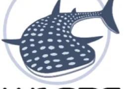 wsorc_.png.webp