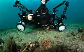 _Hermit Crabbing rig with frogfish.jpg.webp