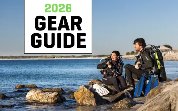  gear guide x.png.webp