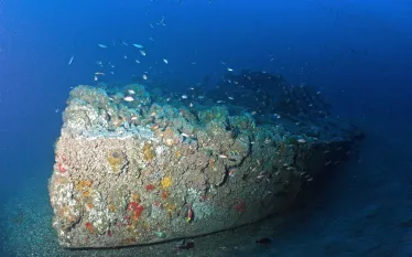 .MNMS-Monitor-NOAA-nopin.jpg.webp