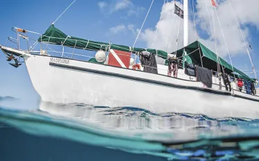 Blackbeards-Sea-Explorer-w-fins--Brandi-Mueller_edit.jpg.webp