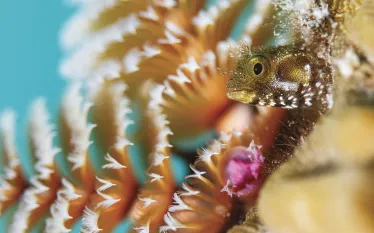 Bonaire-_edit.jpg.webp