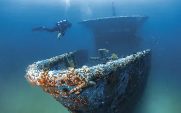 CandiceLandau_Atlantis-_edit_.jpg.webp