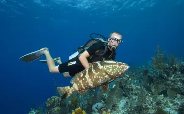 Cayman Aggressor IV Diver    .jpeg.webp