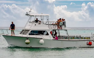 Clearly Cayman Widescreen.png.webp