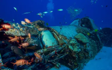Corsair wreck .jpg.webp
