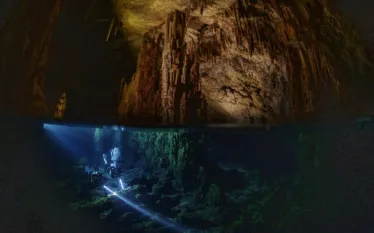 Elephant CAve_TOBIAS_FRIEDRICH___I.jpg.webp