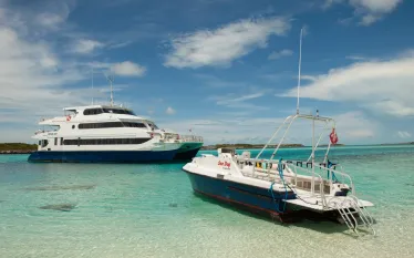 Exterior with Sea Dog   .jpg.webp