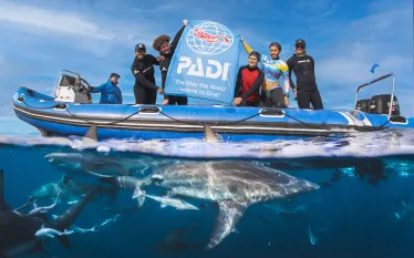 Florian Allgaeuer_PADI_SouthAfrica_FA_DSC   .jpg.webp