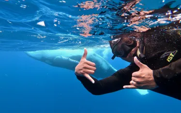 HumpbackSelfie_Cristian Moreno   .jpg.webp