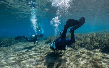 KPaterakis_Fins-.jpg.webp