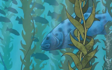 KelpSpore.jpg.webp