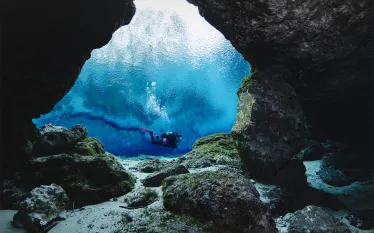 KeoneDrew_GinnieSprings__DSC.jpg.webp