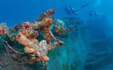 MCTDC_Wreck_Header Image.png.webp