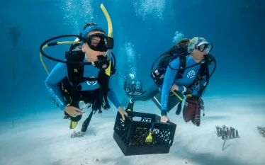 Recreational divers help CRF Coral Crew move corals from the nursery to a nearby outplanting site CREDIT Coral Restoration Foundation.jpg.webp