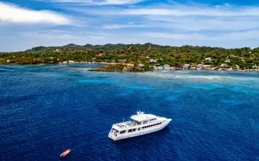 Roatan Aggressor.jpg.webp