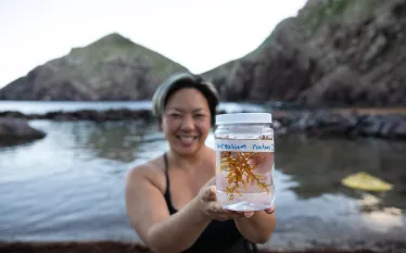 Saba__Sargassum-Field-Project_Tiff_VPham_edit.jpg.webp