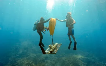 Scuba-Diving-_edit.jpg.webp
