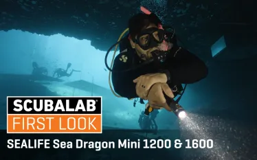 SeaDragon SeaLife Mini.png.webp