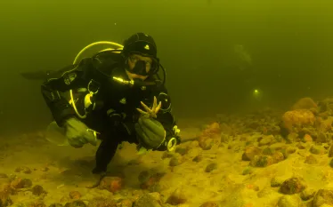 SpencerIslandDive_ForJennie.jpg.webp