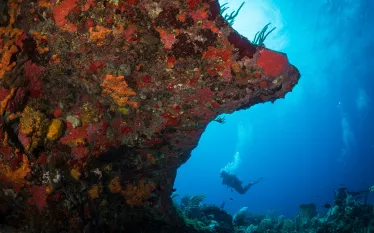 Statia_shutterstock__lr.jpg.webp