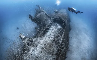 TH-Sub-courtesy-Tanya-Houppermans_edit.jpg.webp