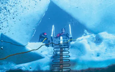 Winter Diving - Rich Synowiec- Divers Incorporated    Rich Synowiec_edit.jpg.webp