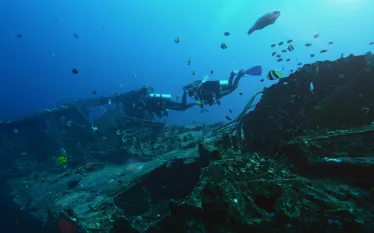 Wreck .jpg.webp