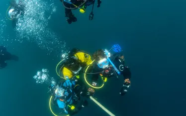 annie_crawley-divers-ascending-_edit.jpg.webp