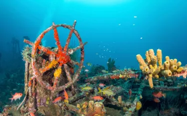 bestdiving_martiniquewrecks.jpg.webp