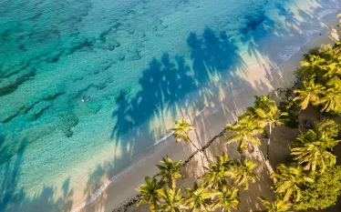 bestdivingmartinique_shutterstock_Wirestock Creators.jpg.webp