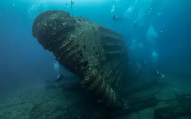 dive oahu_.jpg.webp