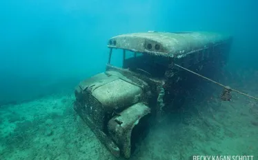 dutch-springs-quarry-bus.jpg.webp
