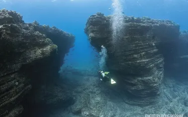 kauai-scuba-diving.jpg.webp