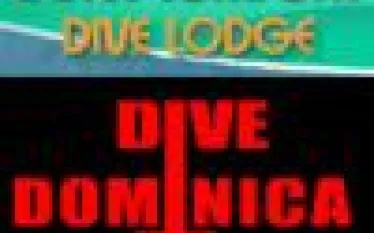 logo_.jpg.webp