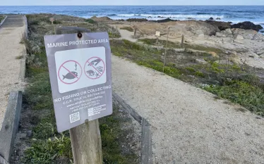 marineprotectedarea_bethpike_IMG_-scaled.jpeg.webp