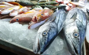 montereybayseafoodwatch.jpg.webp