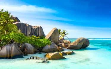 proslgn_shutterstock_.jpg.webp