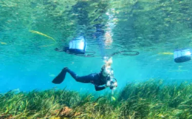 rainbow_river_dive-_.png.webp