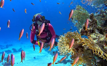 redsea_edit.jpg.webp