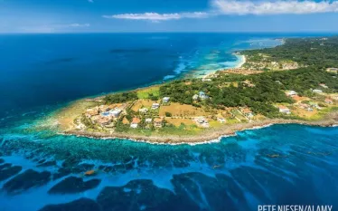 roatan.jpg.webp