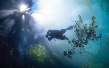 spdsp__training_local-diving_dutch-springs-trees-beckyschott-lp_.jpg.webp