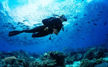 undersea-scuba-diver.jpg.webp