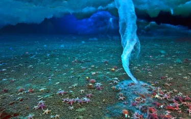 underwater_phenomena_brinicle_spd_.jpg.webp