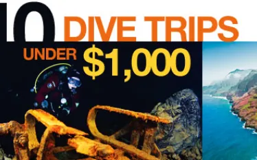 -trips-under--banner.jpg.webp