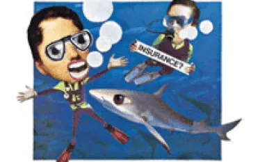 TI__dive_insurance.gif.webp