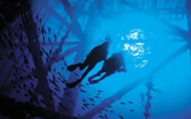 TI__dive_deeper.jpg.webp